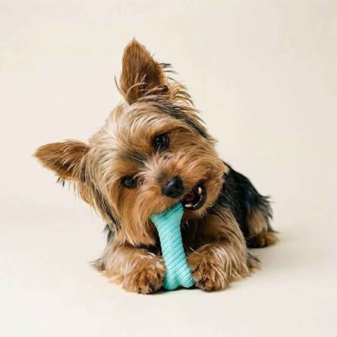 Dog Toys